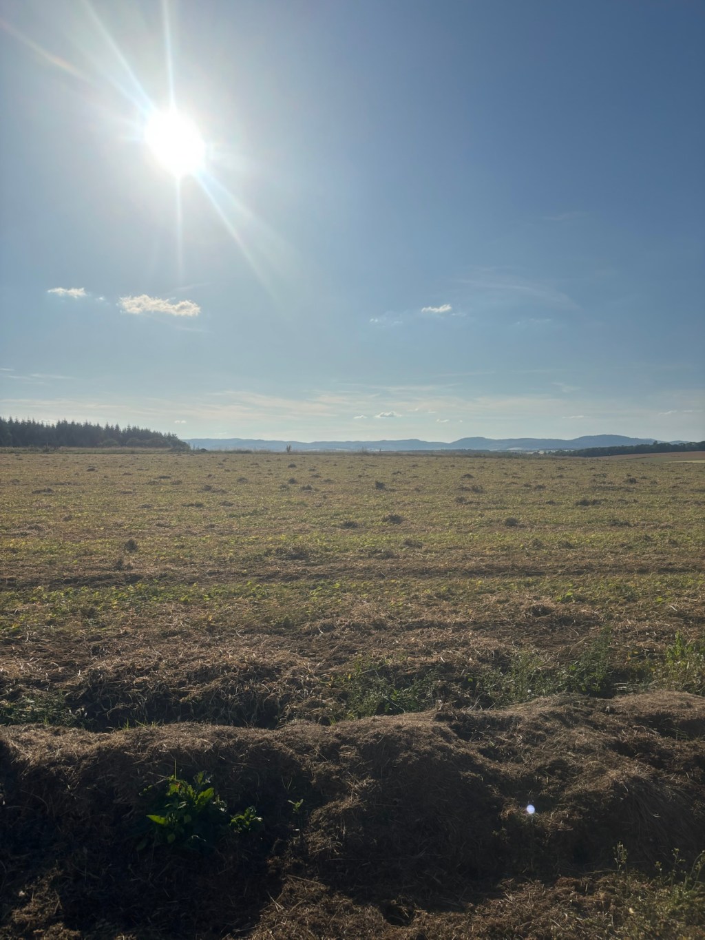 Loss & processing the unprocessable&nbsp;